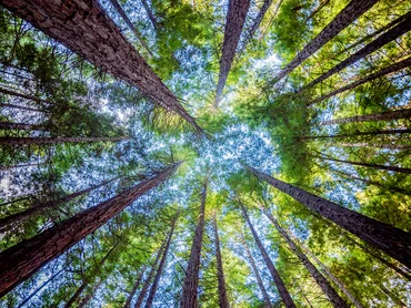 Green Finance