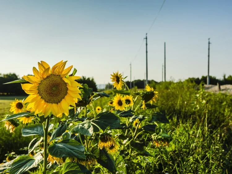 20211110 arge oebb ebreichsdorf tomas maly 12