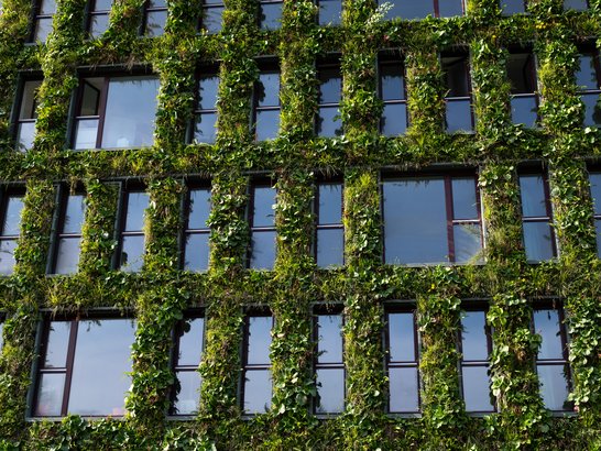 Das Bild zeigt die Fassade eines GebĂ€udes, das vollstĂ€ndig mit grĂŒnen Pflanzen bewachsen ist. Die Pflanzen wachsen rund um und zwischen den rechteckigen Fenstern, die in einem Raster aus Reihen und Spalten angeordnet sind. Dadurch entsteht ein gitterartiges Muster aus Architektur und Natur. Die Kombination verleiht dem GebĂ€ude ein einzigartiges, ökologisch anmutendes Erscheinungsbild.